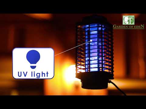 Elektromos szúnyogirtó lámpa