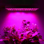 Malatec 225 LED-es Lámpa növénytermesztéshez akasztókkal